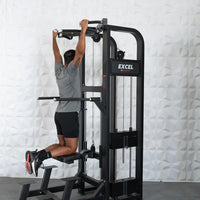 MDF Excel Selectorized Assisted Chin / Dip Combo - Buy & Sell Fitness