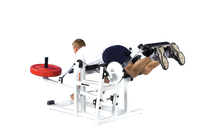 Promaxima Power Plate Loaded Leg Curl Steel Frame - Buy & Sell Fitness