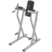 Life Fitness Axiom Series Dip/Leg Raise - Buy & Sell Fitness
