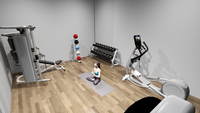 Home Gym Package - 300 Sq Ft
