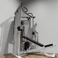 Home Gym Package - 300 Sq Ft