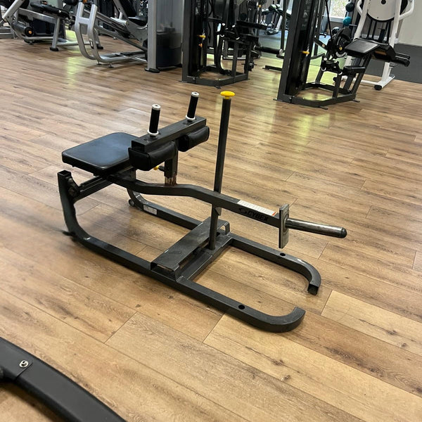 Used Cybex Gym Equipment For Sale Buy & Sell Fitness