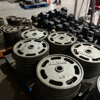 Ivanko Iron Olympic Plates (4,185 lbs)