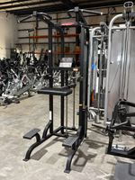 Life Fitness Pro1 Assisted Chin Dip
