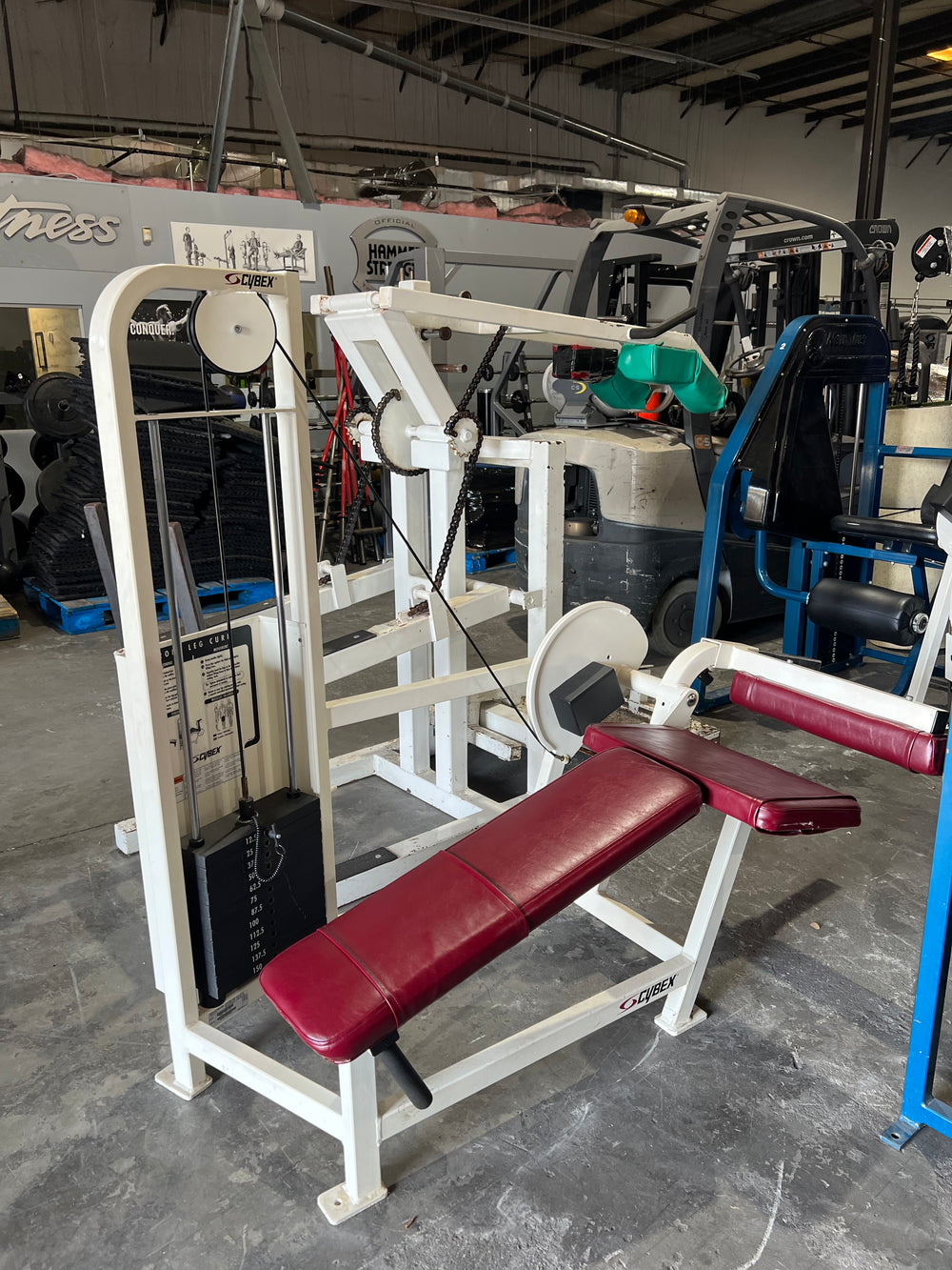 Cybex VR Lying (Prone) Leg Curl - Used - Buy & Sell Fitness