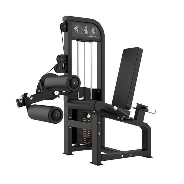 Muscle D Fitness - Selectorized Hamstring Curl - Buy & Sell Fitness