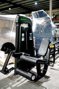 Fettle Fitness Selectorized Seated Leg Curl + Leg Extension