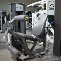 Paramount Leg Extension/ Leg Curl Combo - Used