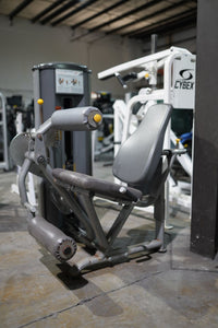 Paramount Leg Extension/ Leg Curl Combo - Used