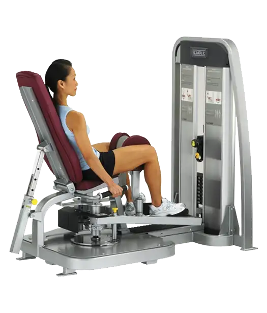 Cybex Eagle Abductor / Adductor Combo