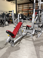 Strive Xtreme Plate Loaded Row

