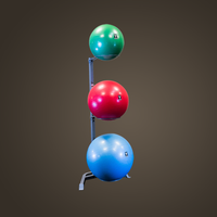 Body Solid Stability Ball Storage Rack - Buy & Sell Fitness