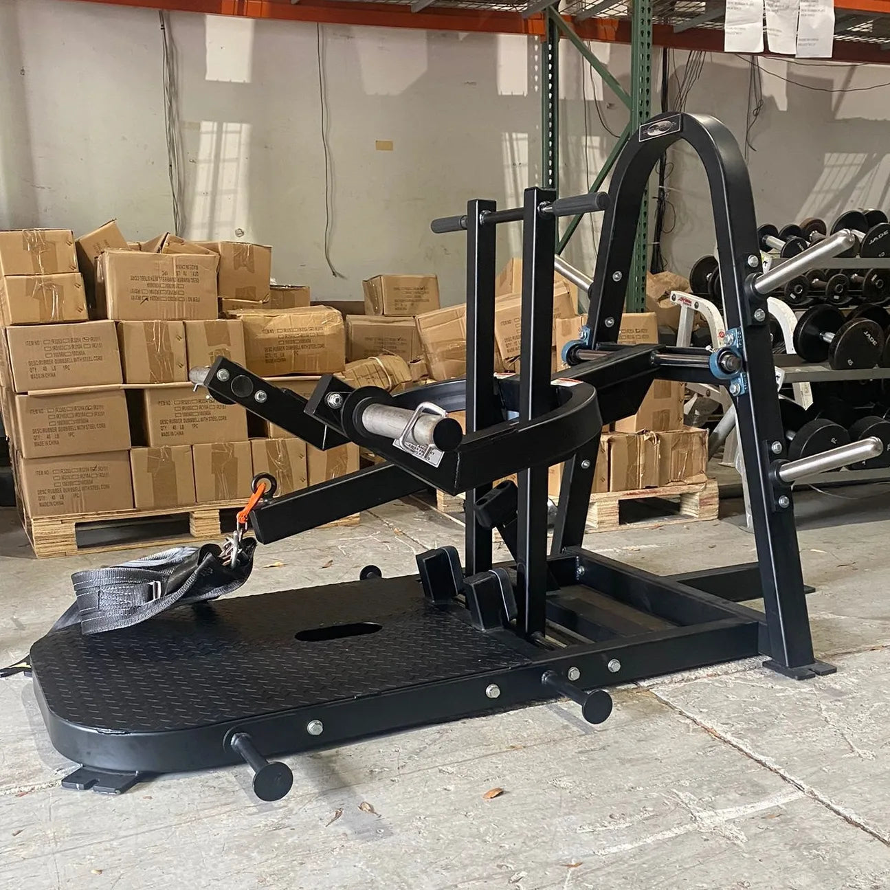 Promaxima Plate Loaded Belt Squat Machine– Buy & Sell Fitness