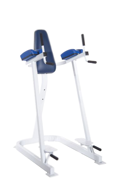 Promaxima Vertical Knee Raise / VKR - New - Buy & Sell Fitness