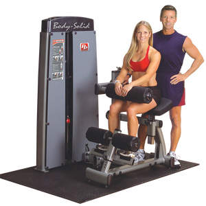 Body Solid Pro Dual Ab and Back Machine DABB-SF - Buy & Sell Fitness