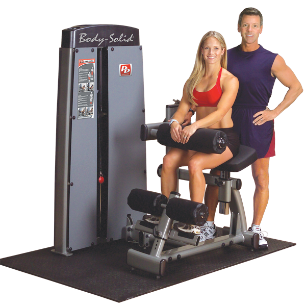 Body Solid Pro Dual Ab and Back Machine DABB-SF - Buy & Sell Fitness