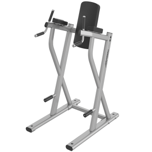 Life Fitness Axiom Series Dip/Leg Raise - Buy & Sell Fitness