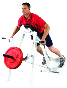 t bar row cybex Promaxima T- bar Row– Buy & Sell Fitness