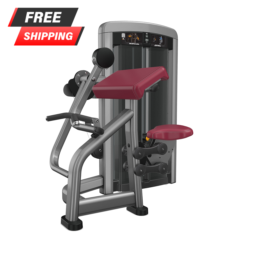 Bicep Curl Machine Life Fitness Bicep Curl Machine Life Fitness