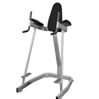 MDF MD Series Vertical Knee Raise - Buy & Sell Fitness