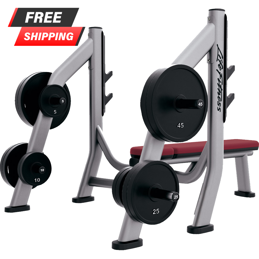 Life Fitness Signature Series Olympic Bench Weight Storage - Buy & Sell Fitness