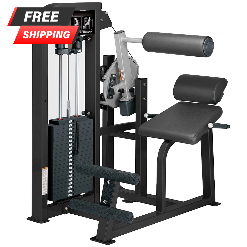 Back hammer machine 2025