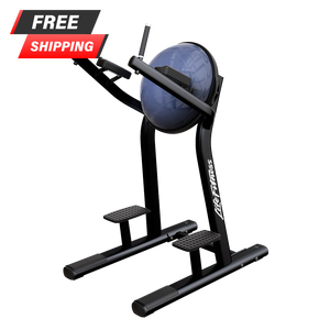 Life Fitness Signature Series Leg Raise - Buy & Sell Fitness