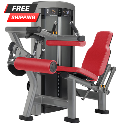 Life Fitness Insignia Series Seated Leg Curl - Buy & Sell Fitness