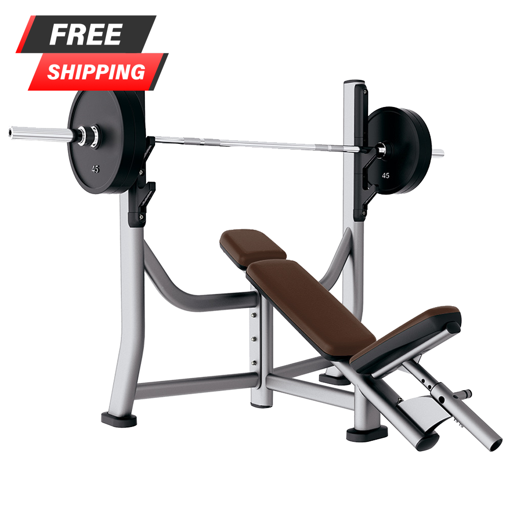 Lifetime fitness bench sale