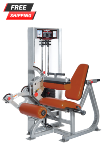 Promaxima Raptor P-5500 Dual Leg Extension/Leg Curl - New– Buy & Sell ...