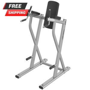 Axiom Series Dip/Leg Raise Life Fitness, 53% OFF