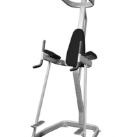 MDF MD Series Vertical Knee Raise with Pull Up Station - Buy & Sell Fitness