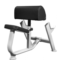 MDF MD Series Preacher Curl Bench - Buy & Sell Fitness