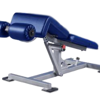 Promaxima Decline Adjustable Ab Bench - Buy & Sell Fitness