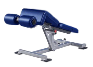 Promaxima Decline Adjustable Ab Bench - Buy & Sell Fitness
