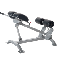 Promaxima Hyper Extension - Buy & Sell Fitness